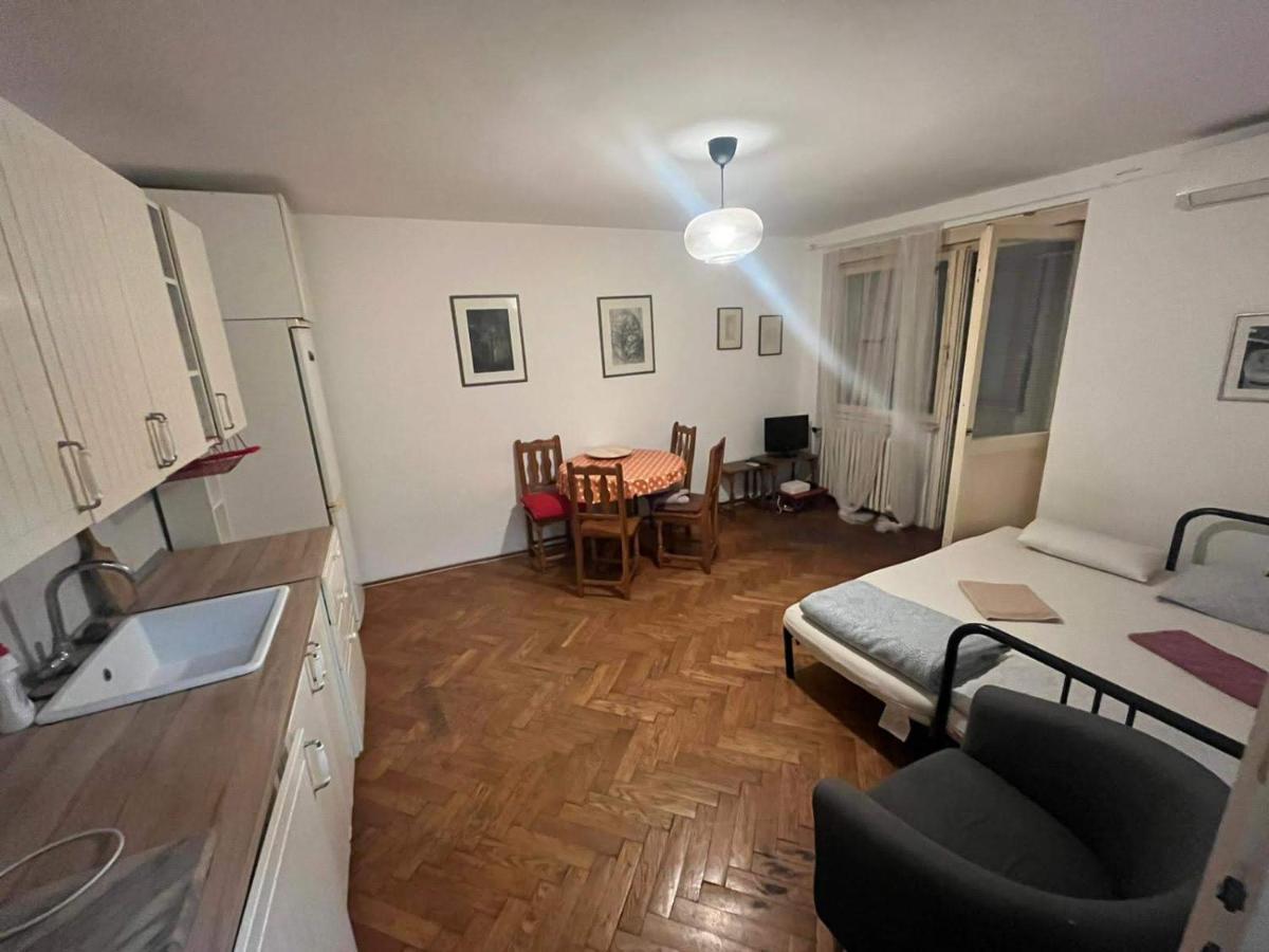 Downtown Belgrade Hostel And Apartments Exteriér fotografie